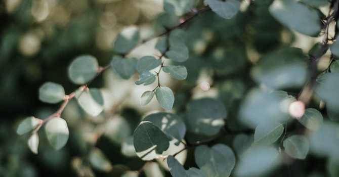 What Is Sports Physiotherapy? A Complete Guide to Recovery and Performance in Surrey